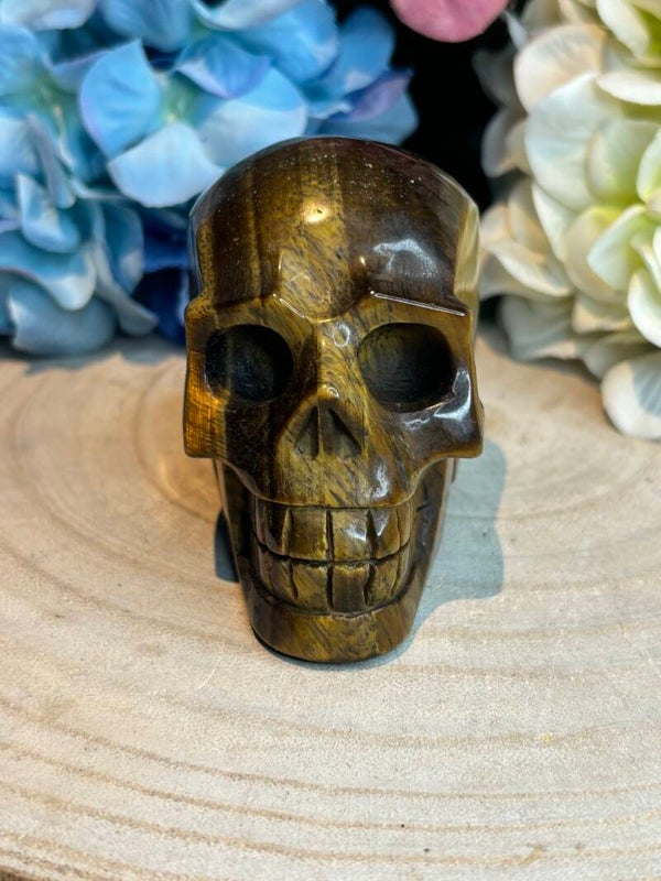 Tijgeroog skull