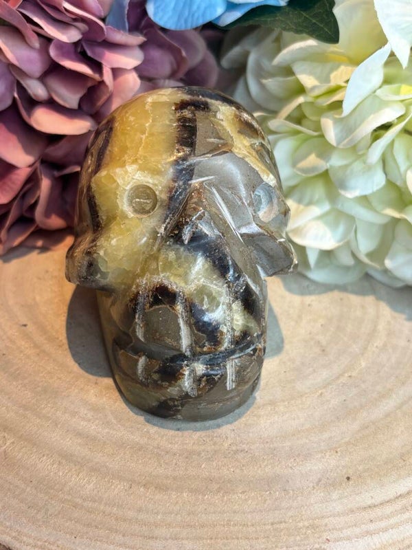 Septarie skull nr 2