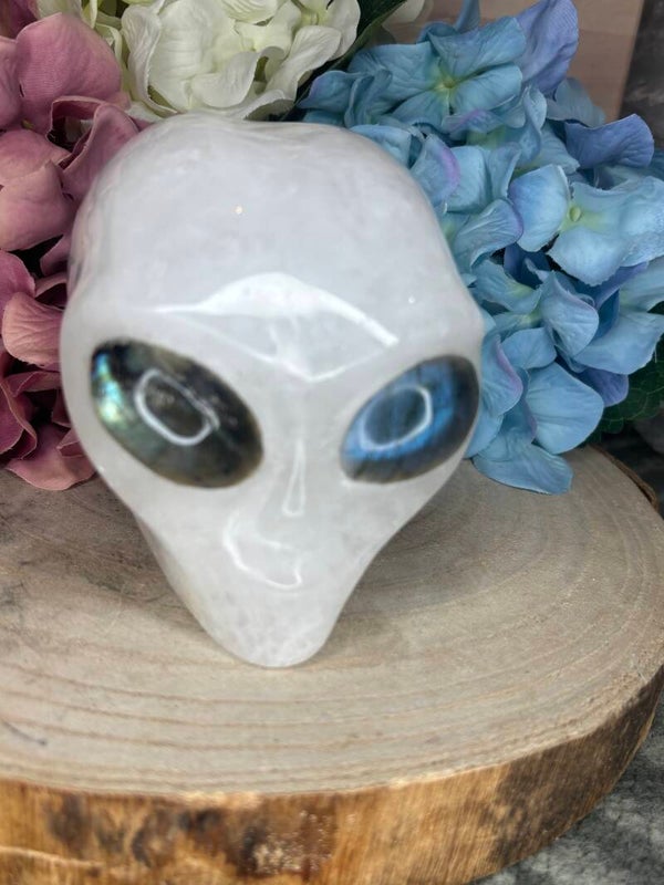 Bergkristal alien