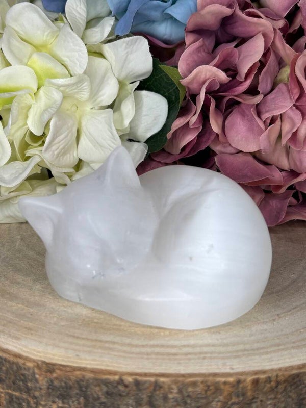 Seleniet / satijnspaat poes