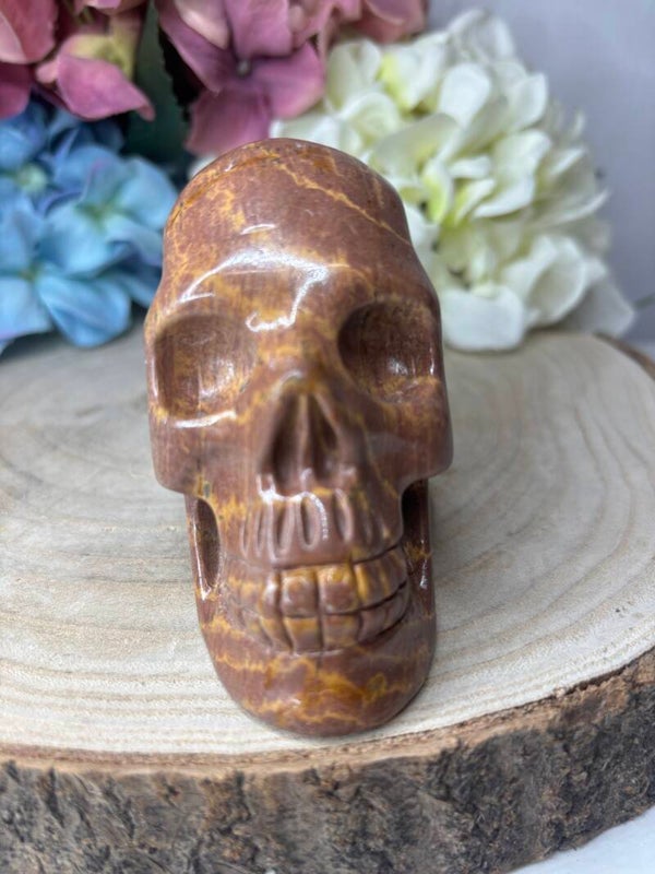 Jaspis skull