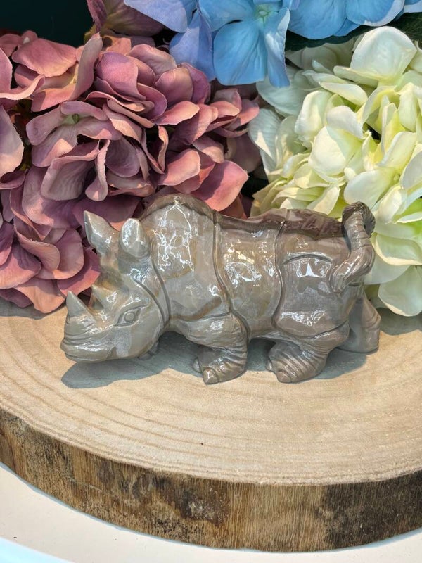 Jaspis neushoorn