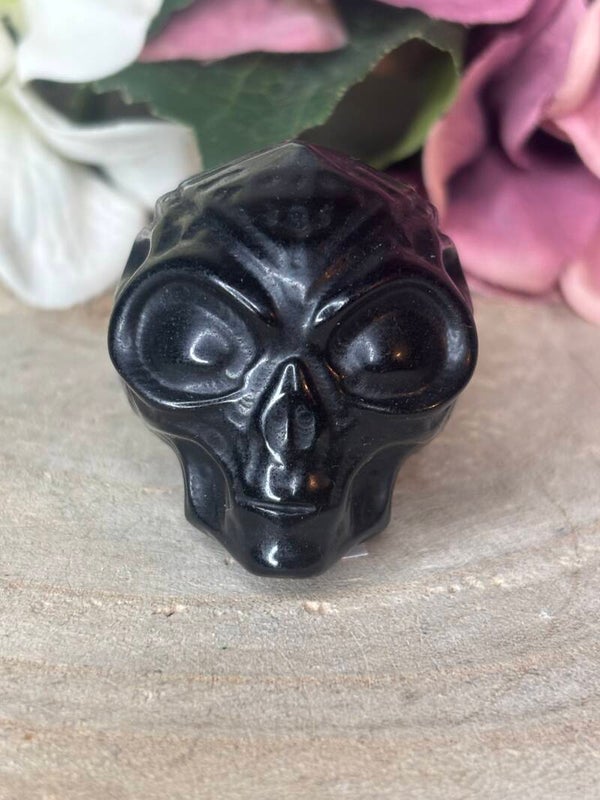 Obsidiaan alien