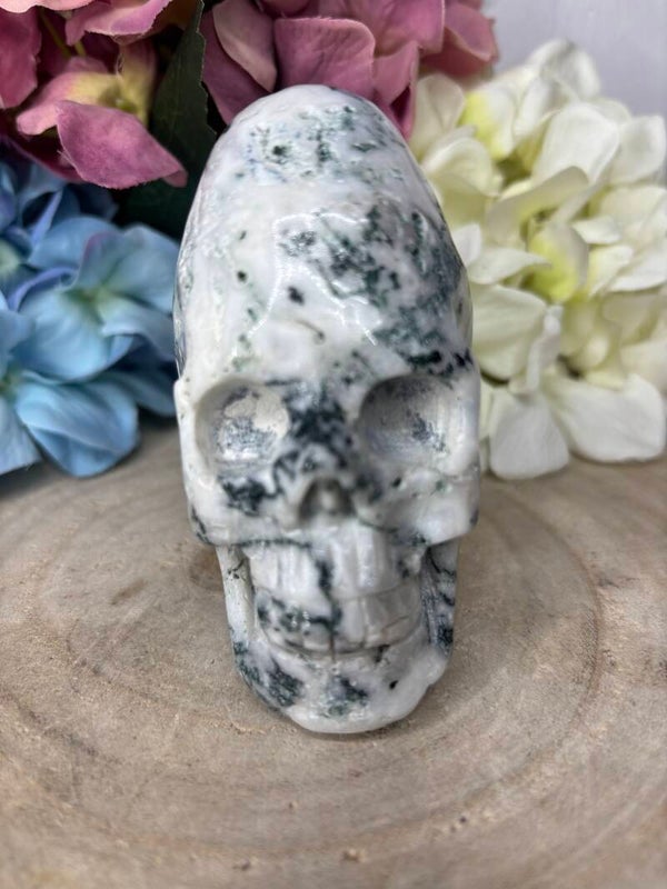 Mosagaat skull