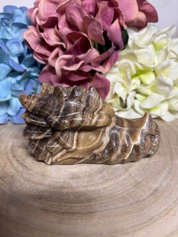 Chocolade calciet draak
