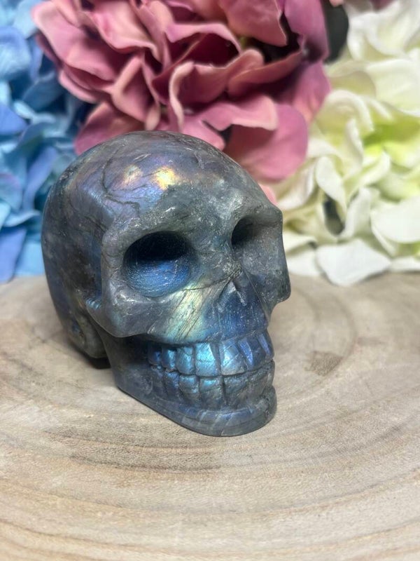Labradoriet skull nr 1