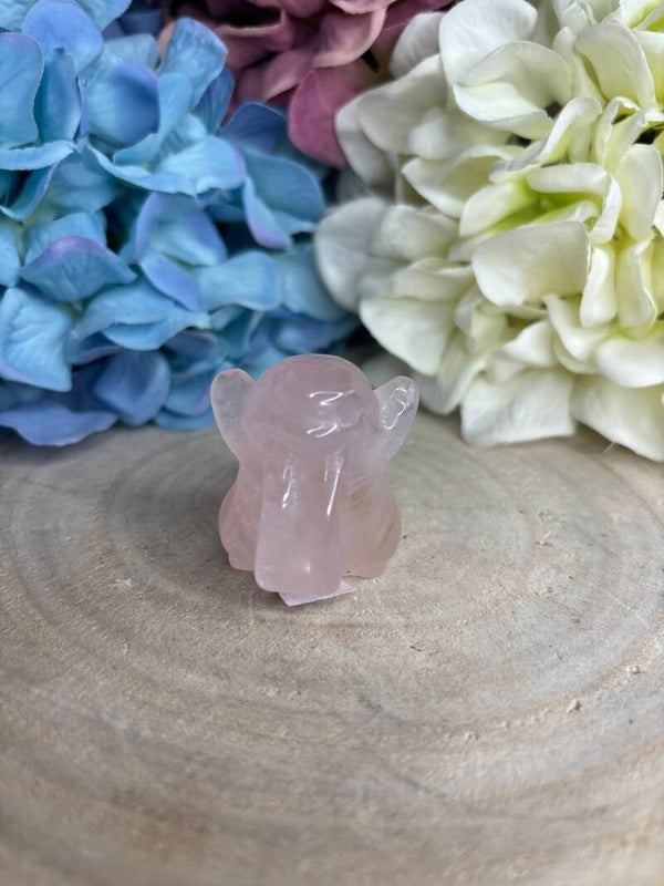 Rozenkwarts Pokémon