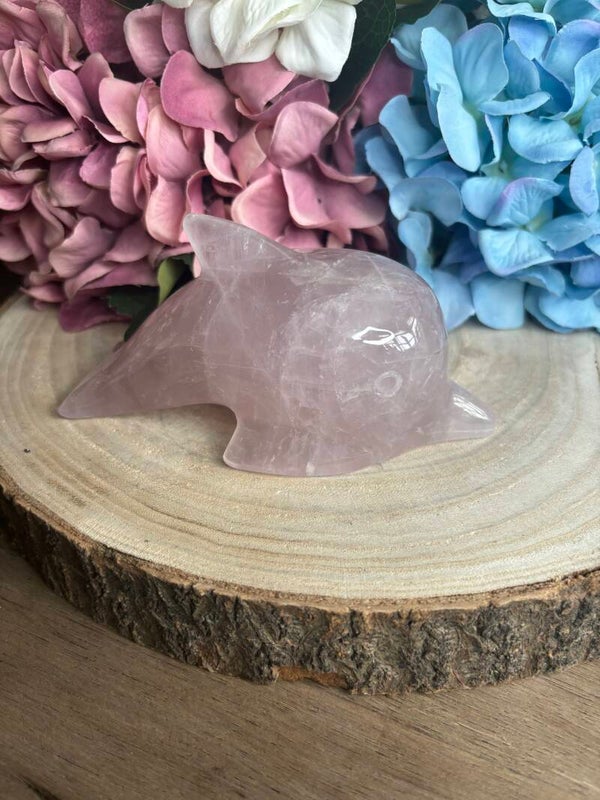 Rozenkwarts dolfijn