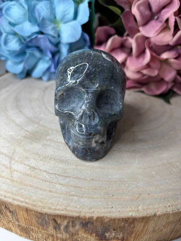 Mosagaat skull