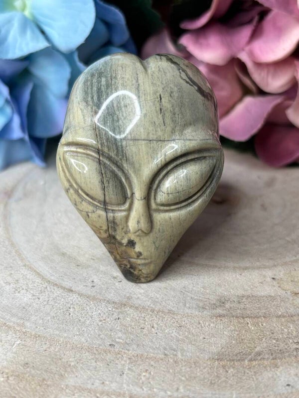 Agaat alien