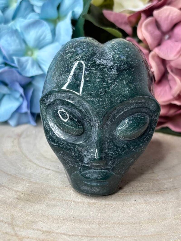 Mosagaat alien