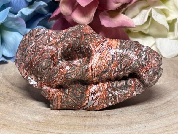 Jaspis krokodil skull