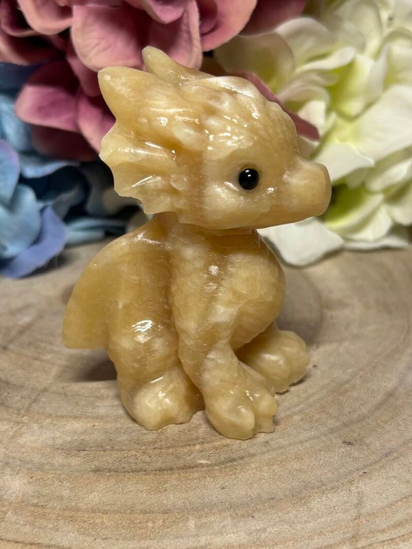 Calciet draak