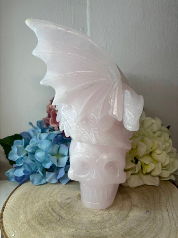 Mangano calciet draak op skull
