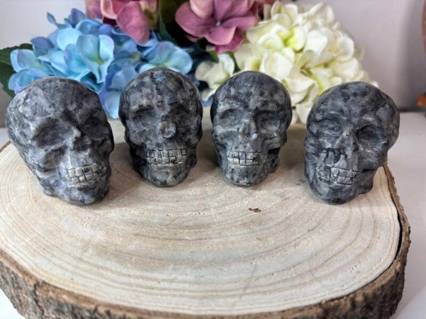 Larvikiet skull