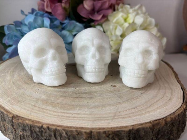 Sneeuwkwarts skull