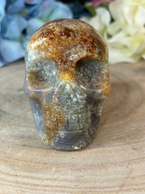 Mosagaat skull