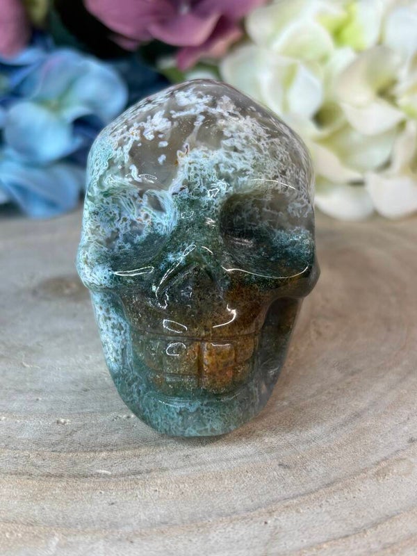 Mosagaat skull