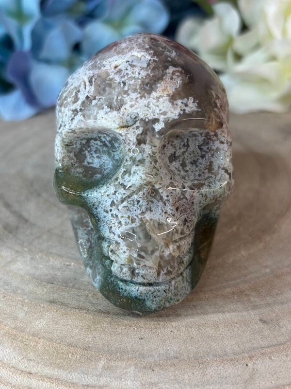 Mosagaat skull