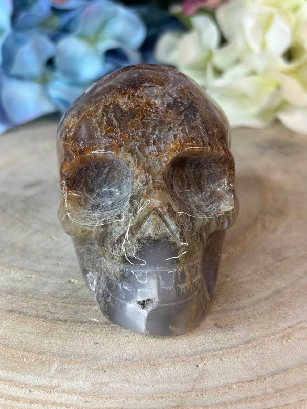 Mosagaat skull