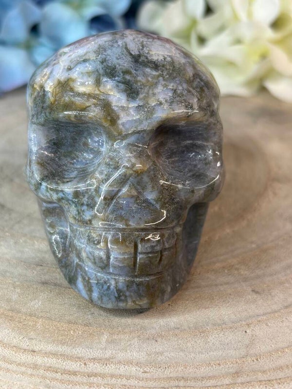 Mosagaat skull