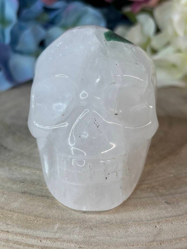 Mosagaat skull