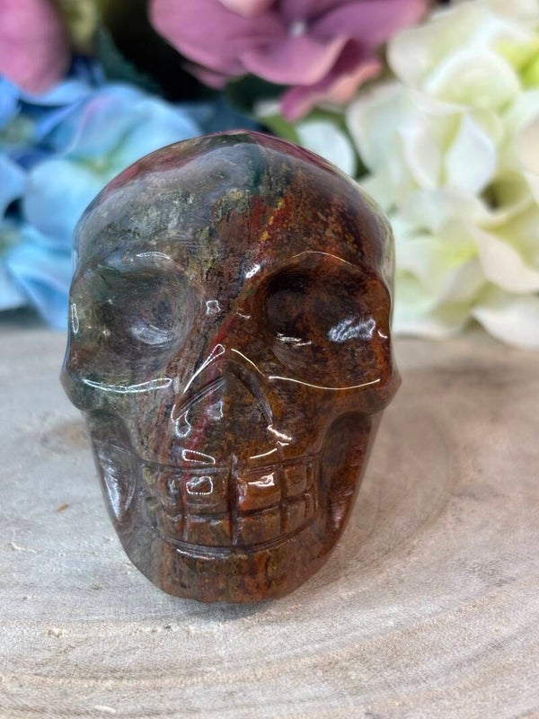 Mosagaat skull