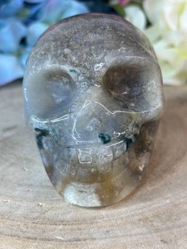 Mosagaat skull