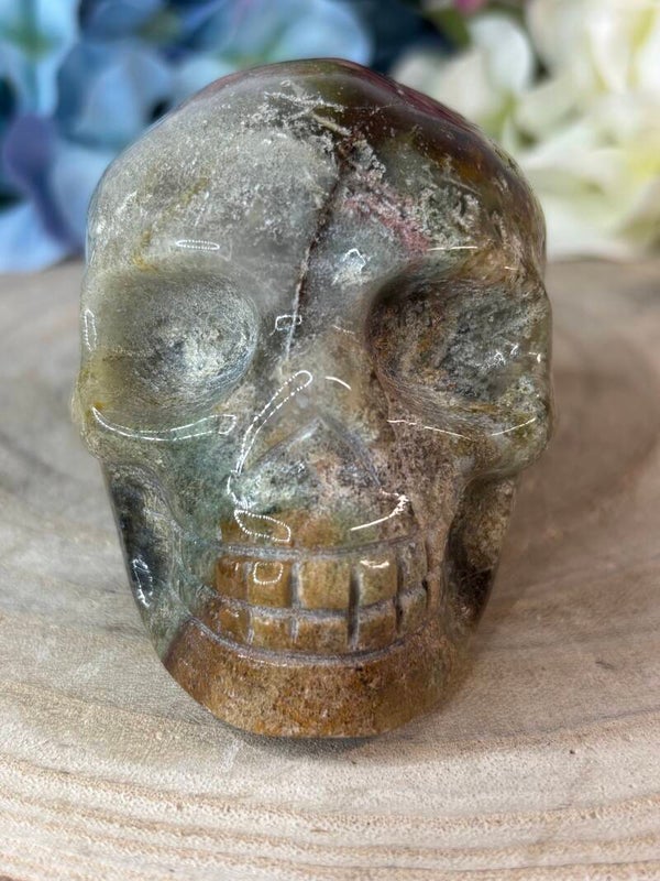 Mosagaat skull