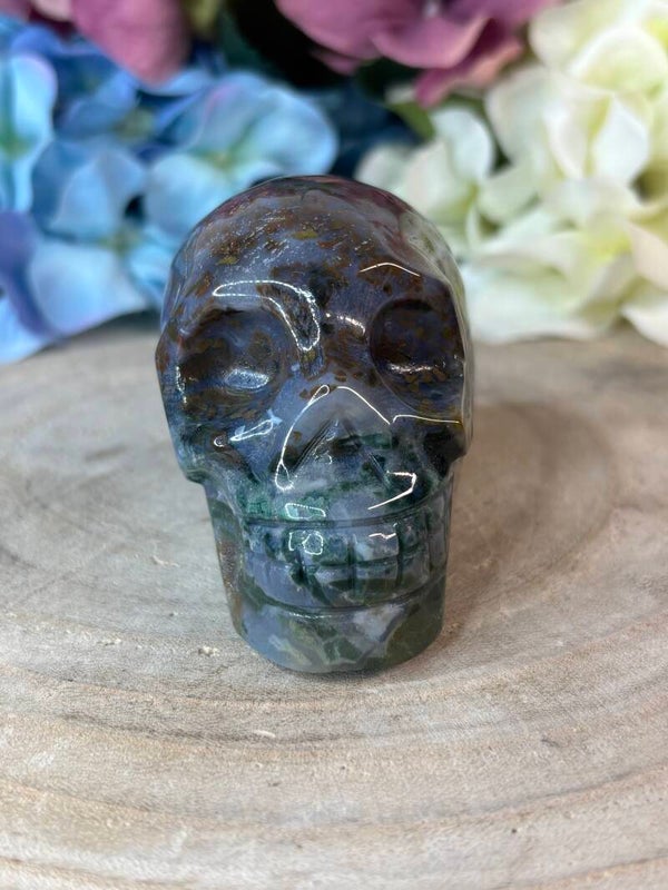 Mosagaat skull