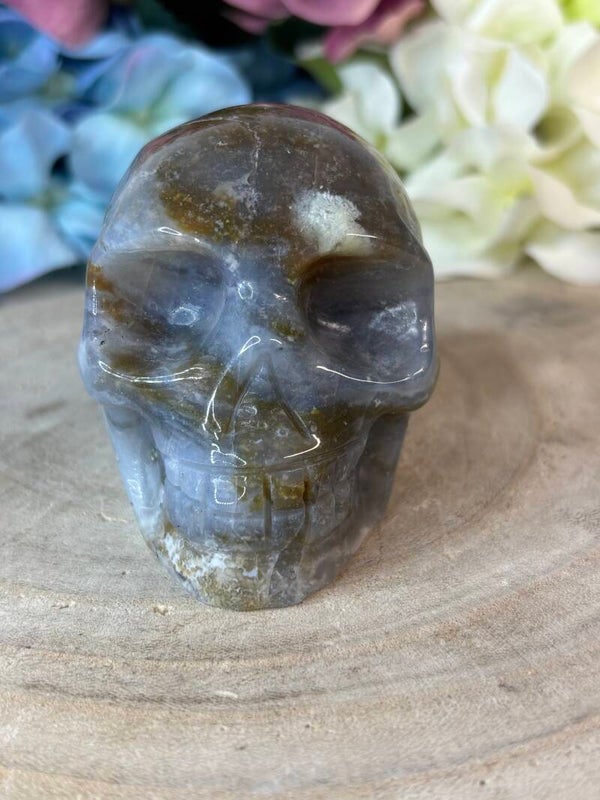 Mosagaat skull