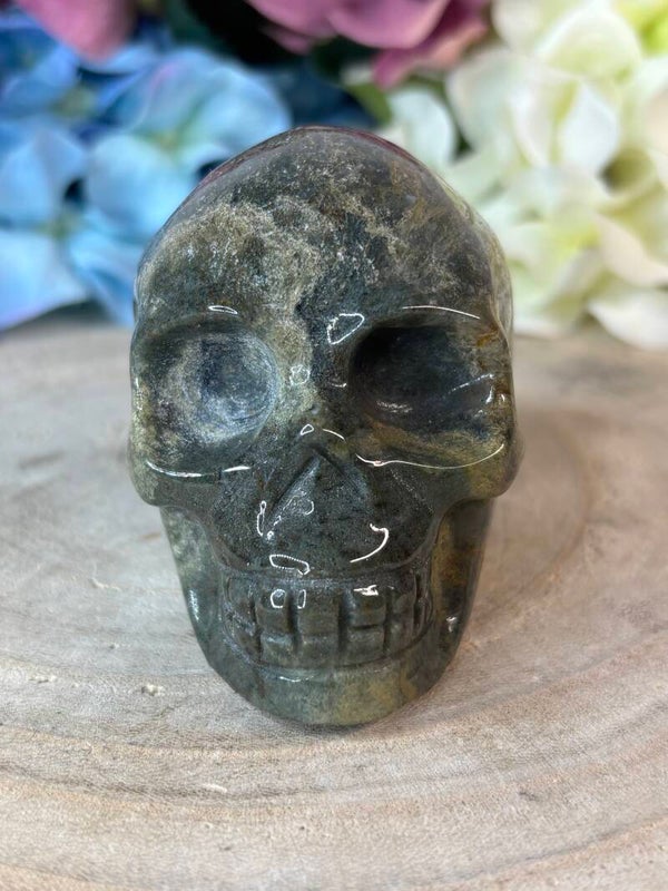 Mosagaat skull