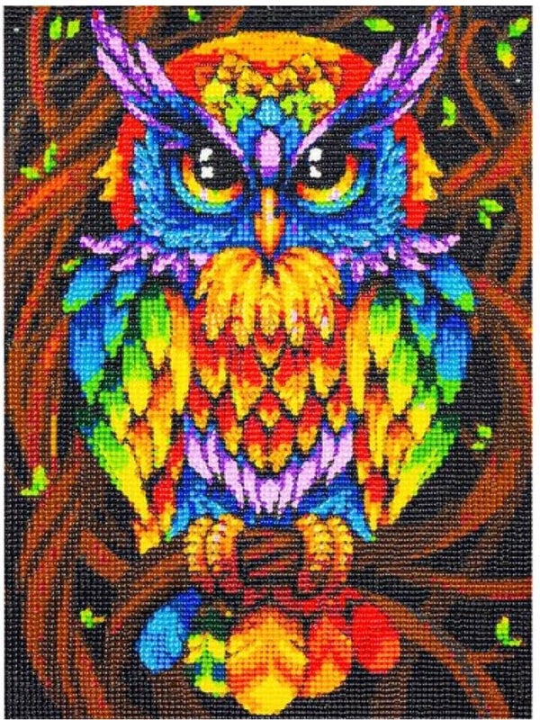 Diamond painting hobbypakket 30x40 cm kleurrijke uil