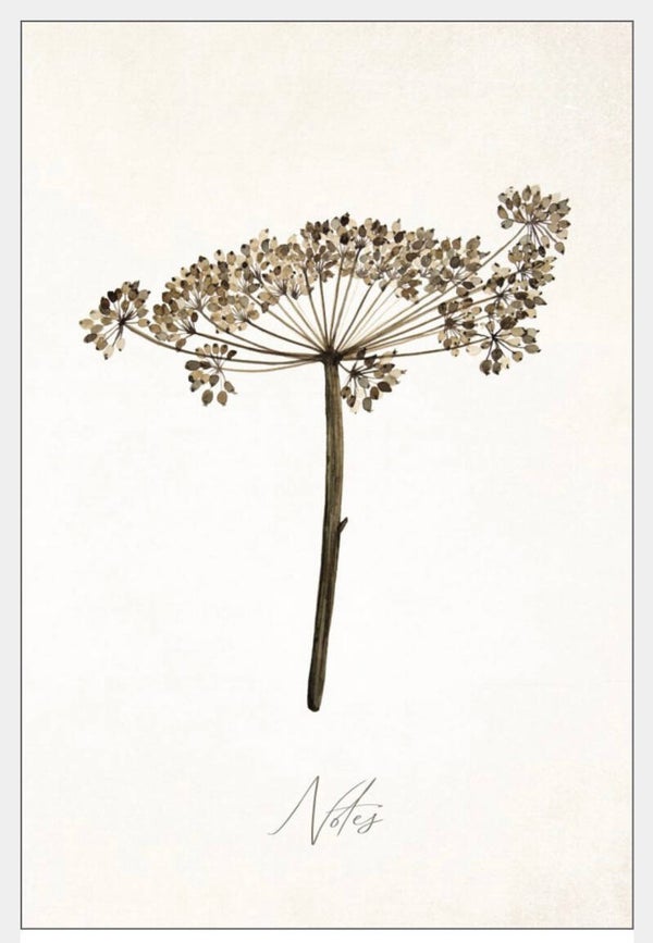 Note Book Plant