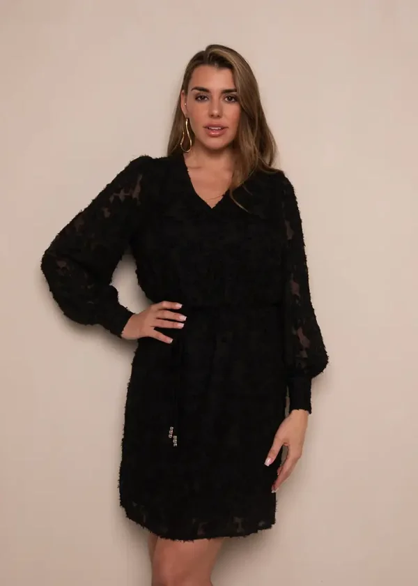 Dion Dress Black Freebird
