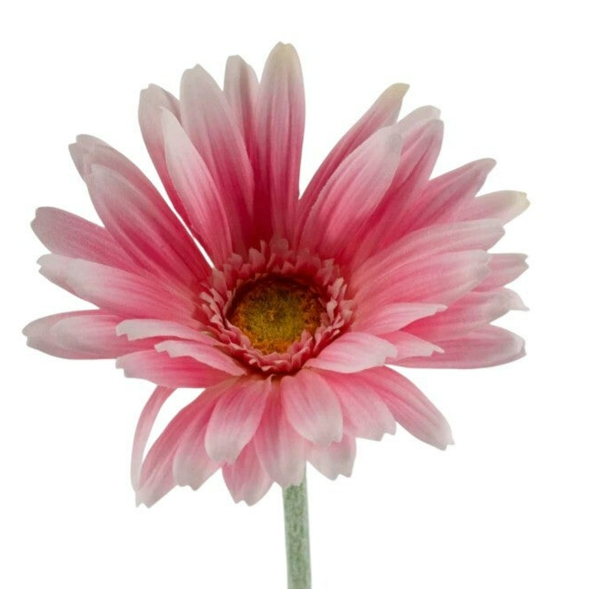 Kunstbloem spaanse margriet 60 cm roze