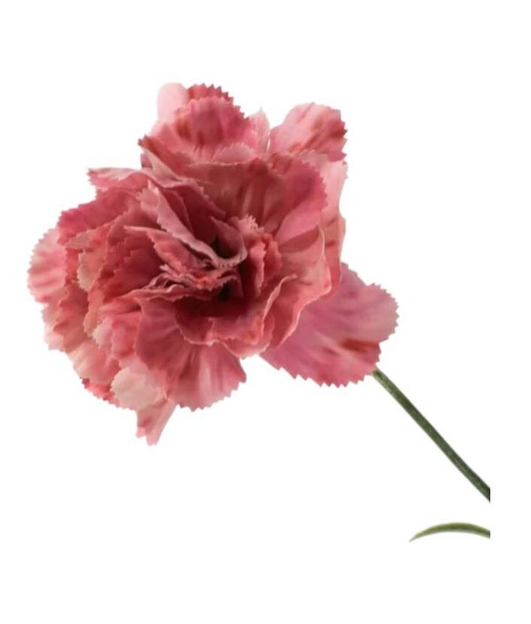 Kunstbloem Anjer roze - 66 cm