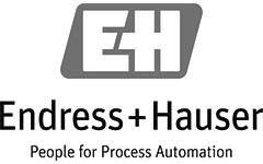 Endress + Hauser