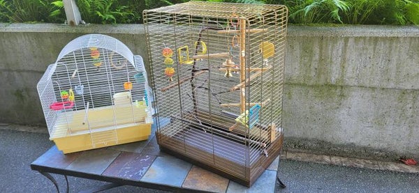 Vogelkäfige mit Zubehör beide zusammen