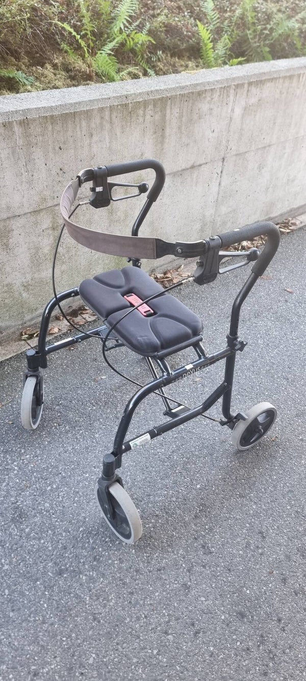 Nexus Rollator mit Sitz & Rückenlehne – faltbar