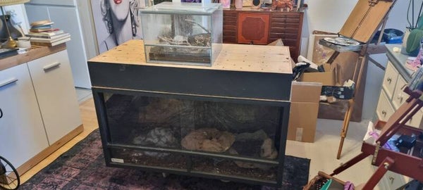 Grosses Terrarium mit Unterbau und Zubehör zu verkaufen 120x60