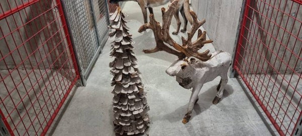 Grosser Deko-Hirsch und Tanbenbaum aus Naturholz mit Geweih