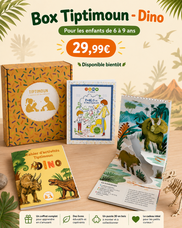 Box Tiptimoun "DINO"