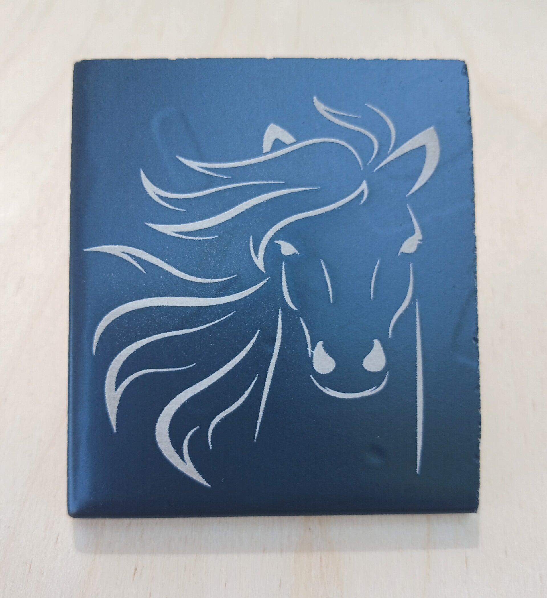 carrelage cheval