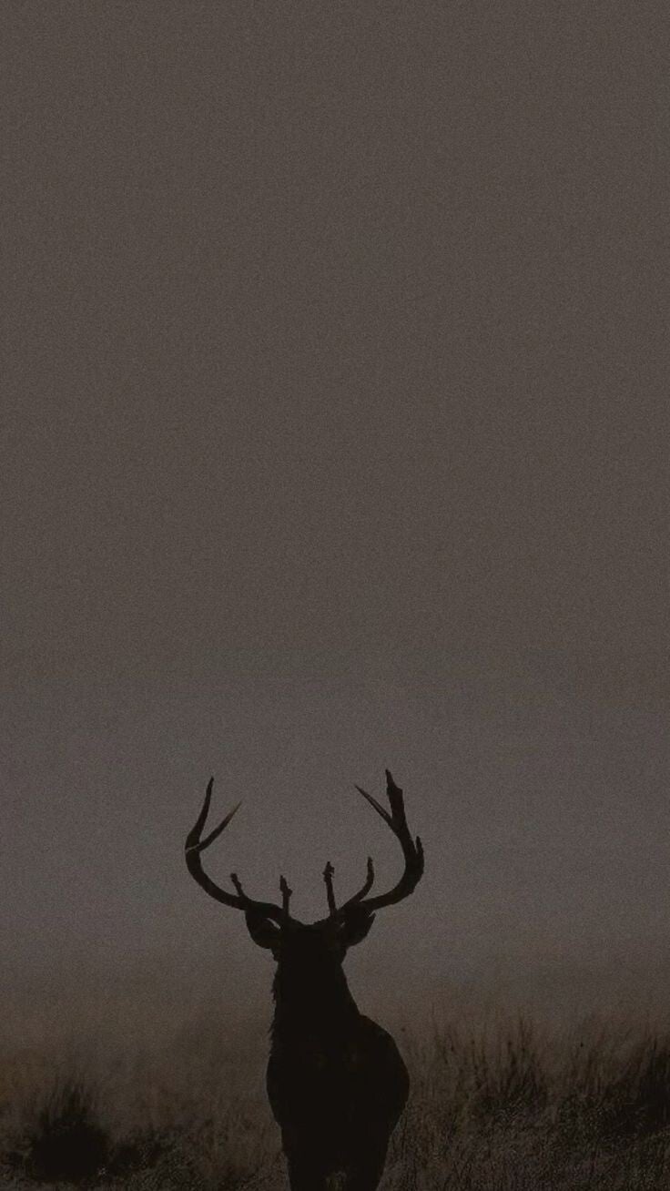 Air Freshener