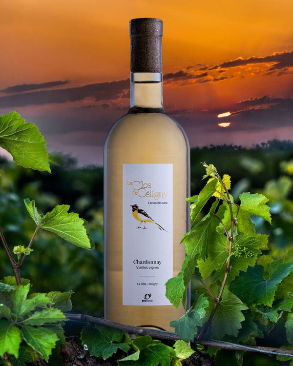 Chardonnay