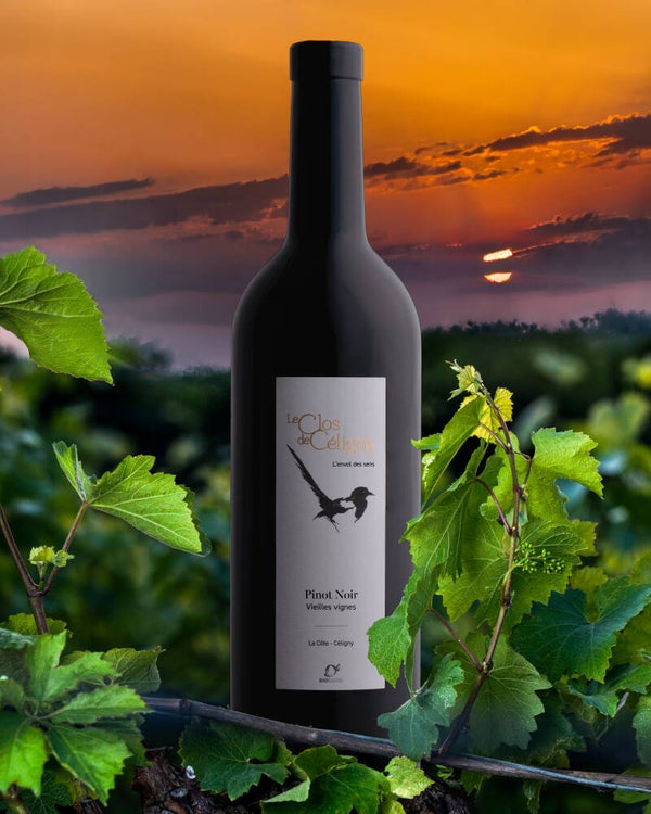Pinot Noir