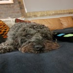 20181206_185030.jpg