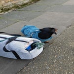 IMG-20200207-WA0005.jpeg