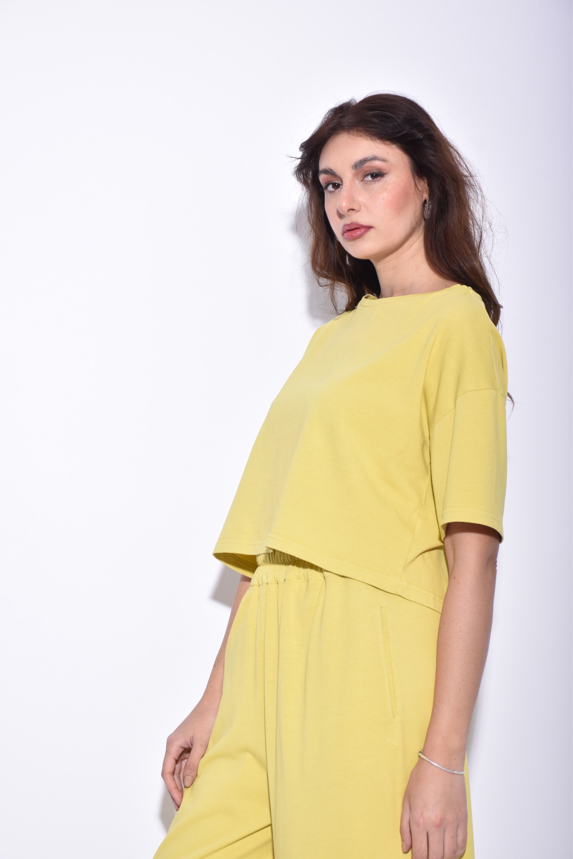 basic cropped t-shirt